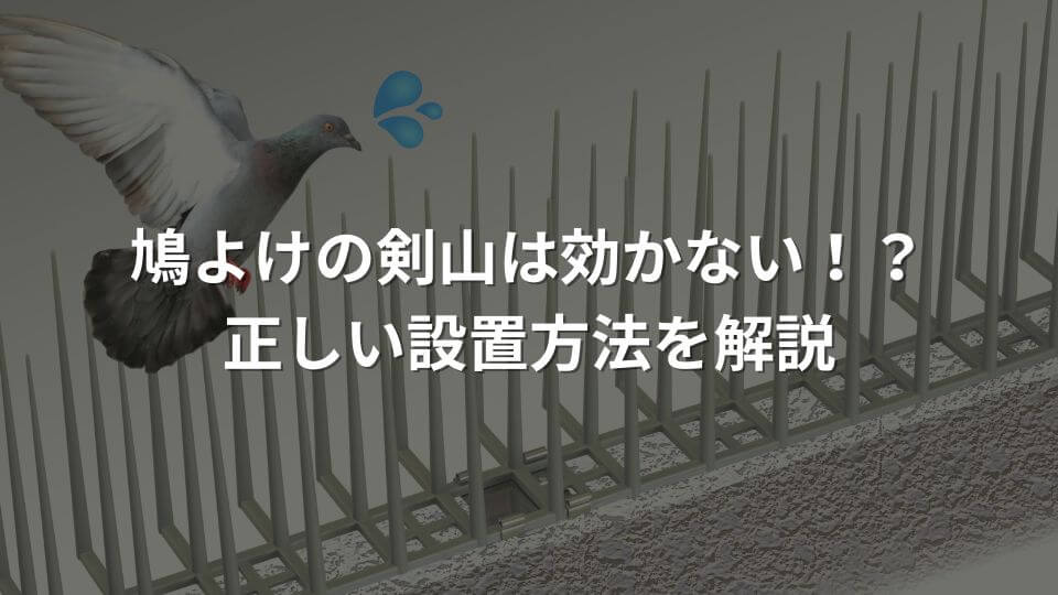 鳩よけの剣山は効かない！？正しい設置方法を解説
