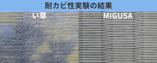 カビにくい