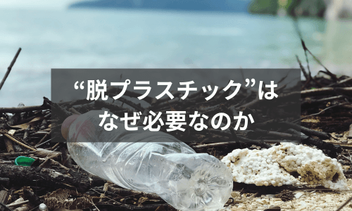 脱プラスチックはなぜ必要なのか