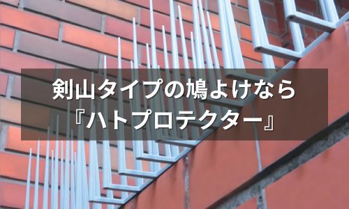 ハトプロテクター