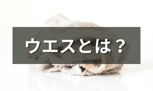 ウエスとは?