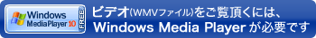 ビデオ(WMVファイル)をご覧頂くには Windows Media Player が必要です。Windows Media Player がインストールされていない場合は、こちらからダウンロードしてください。